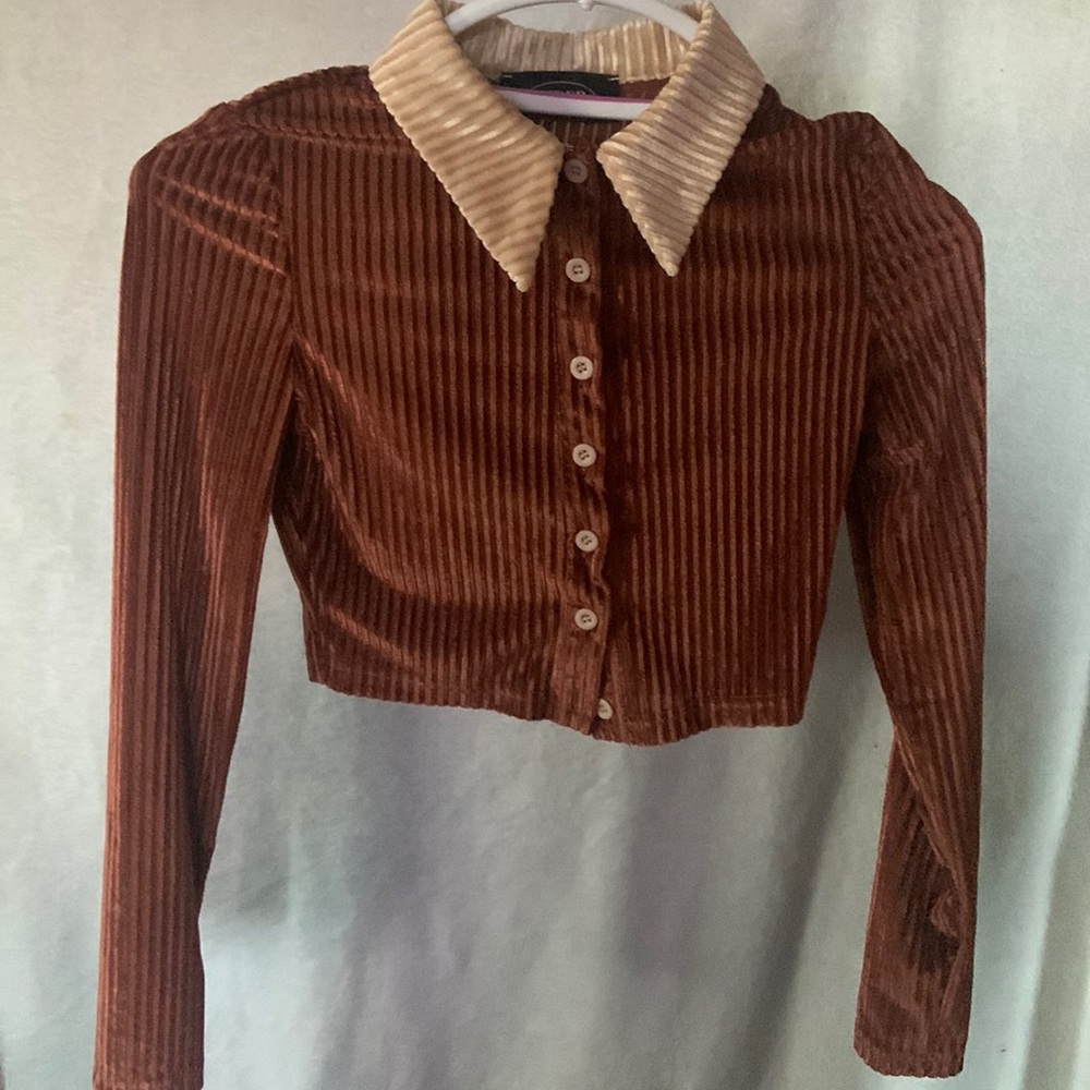 Brown Colorblocked Collared shirt.